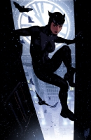 Catwoman #64